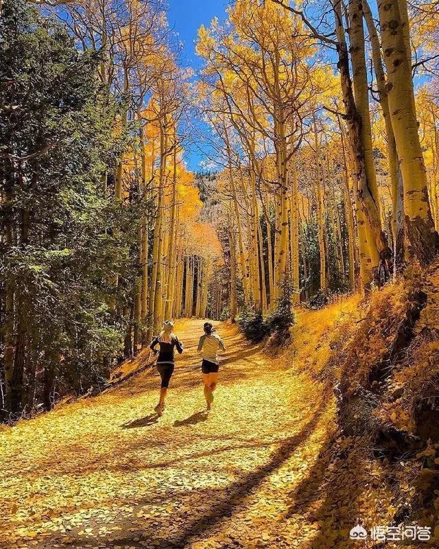 每天慢跑5公里危害巨大