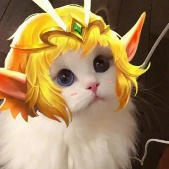 《王者荣耀》猫咪接头头像大全