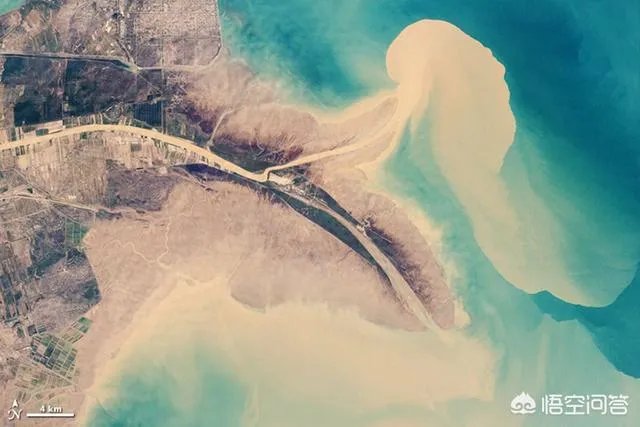 黄河水变清对下游生态是好事还是坏事？