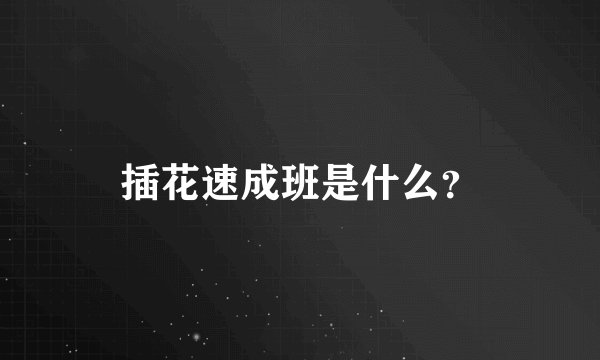 插花速成班是什么？