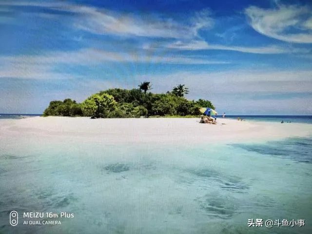 夏天想带父母去游轮旅行，海洋光谱号上有适合上了年纪的人玩的娱乐项目吗？