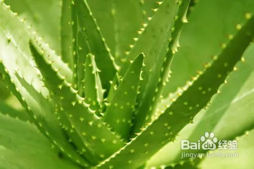 青春痘疤痕修复