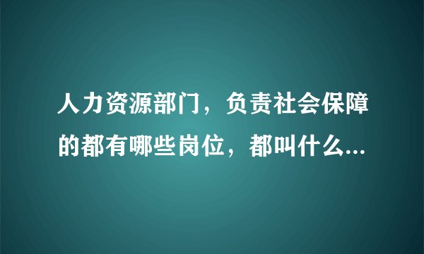 人力资源部门，负责社会保障的都有哪些岗位，都叫什么名称？比如社保专员什么的？