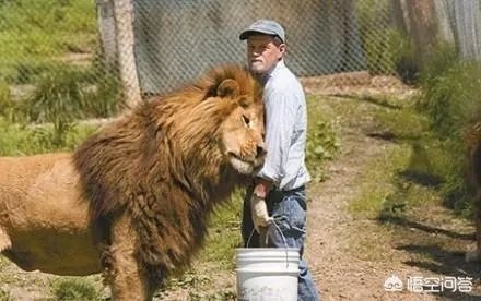 人和动物最大的相同点是什么？