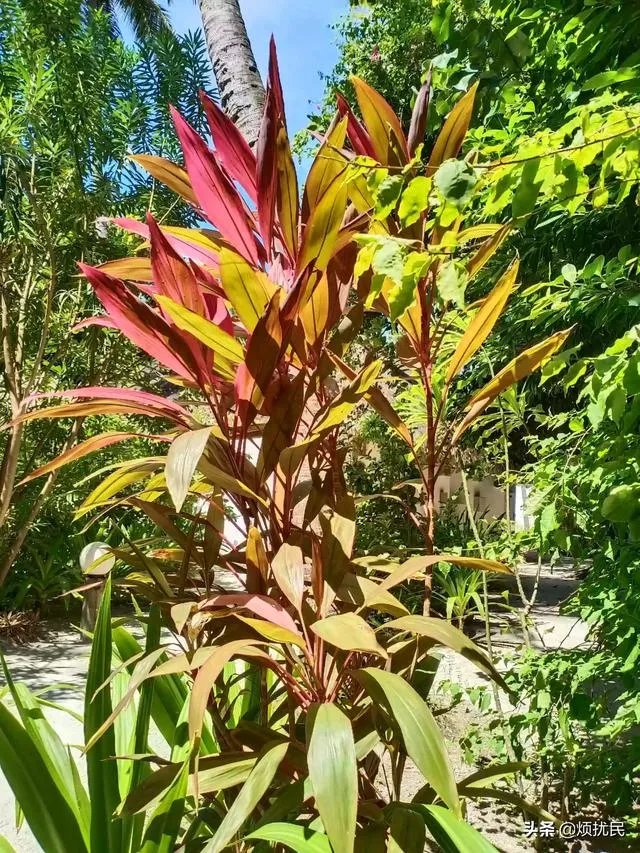 国考面试会推迟吗？