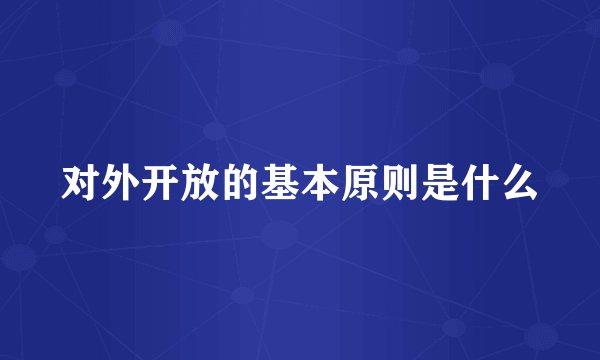 对外开放的基本原则是什么