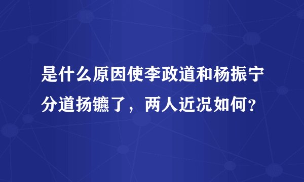 是什么原因使李政道和杨振宁分道扬镳了，两人近况如何？