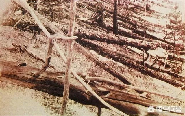 什么是通古斯事件？为什么会发生大爆炸？