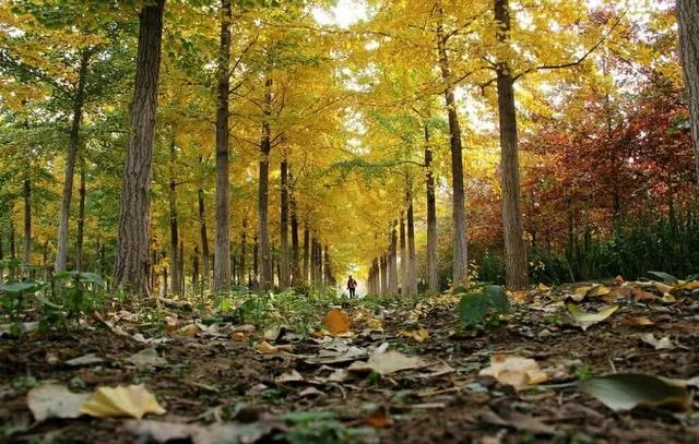 聚美优品的现状是怎样的？