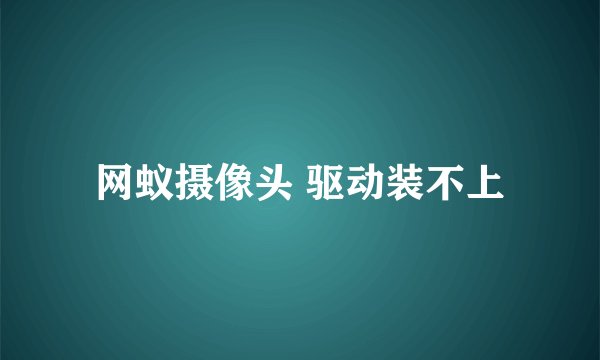 网蚁摄像头 驱动装不上