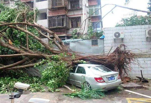 鹦鹉台风对广东有影响吗