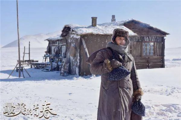 最美的青春电视剧免费观看