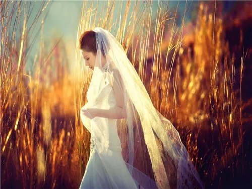 婚庆网站大全 好的婚庆网站有哪些