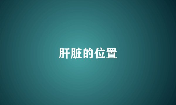肝脏的位置