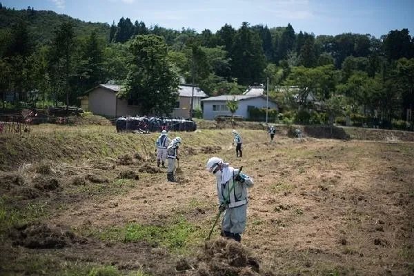 日本福岛核泄漏事件造成的核污染,究竟会如何危害世界?
