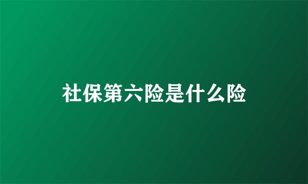 社保第六险是什么险