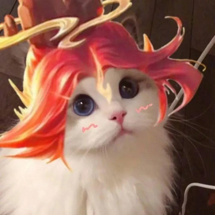 《王者荣耀》猫咪接头头像大全