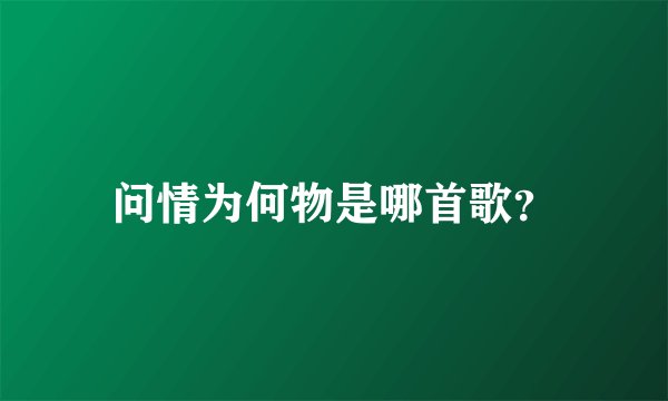 问情为何物是哪首歌？