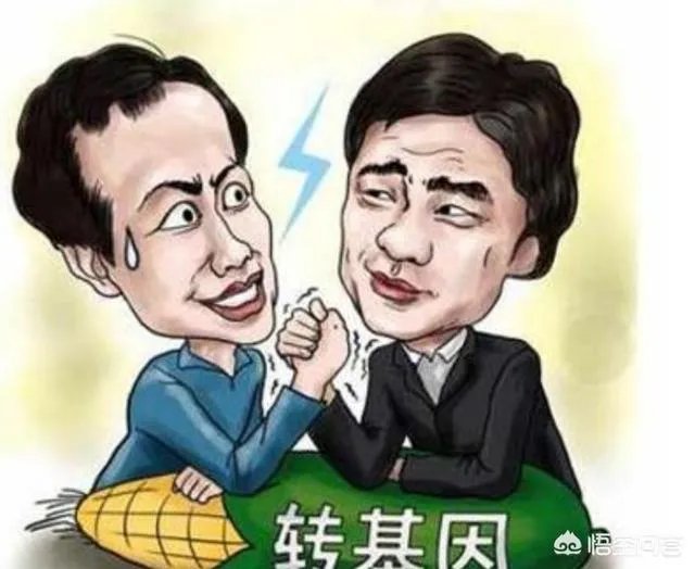 当年方舟子质疑韩寒代写事件结果怎样？