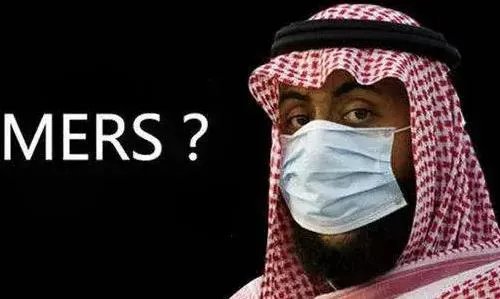 mers是什么意思啊