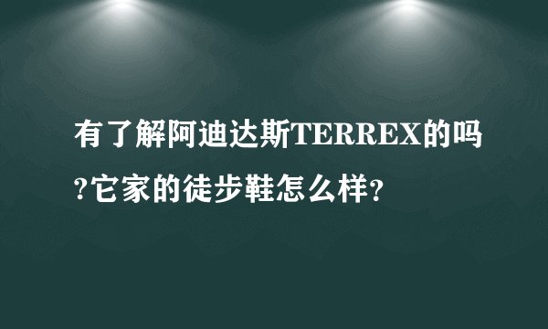 有了解阿迪达斯TERREX的吗?它家的徒步鞋怎么样？