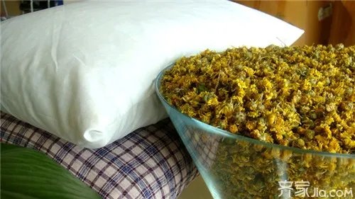 野菊花枕头的功效与作用 菊花枕怎么做