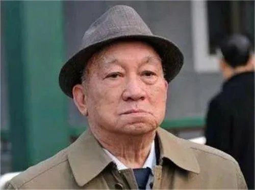 102岁的美籍华人林烨,想要回国祭祖