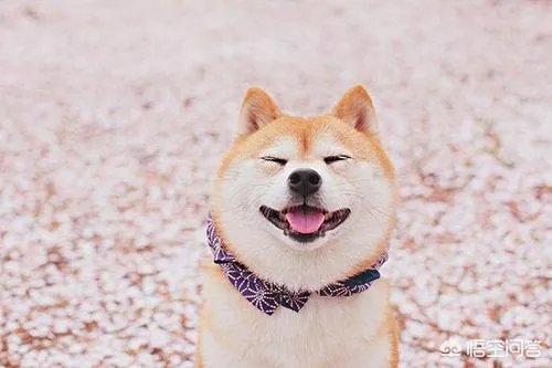 怎么从QQ头像看人的性格？