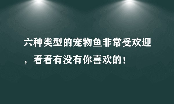 六种类型的宠物鱼非常受欢迎，看看有没有你喜欢的！