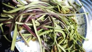 辣椒炒蕨菜