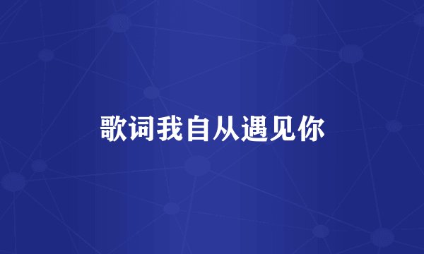 歌词我自从遇见你