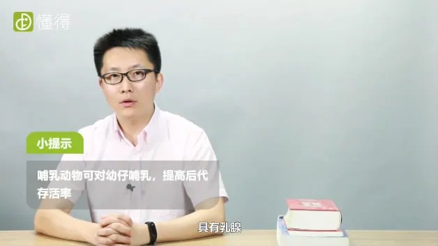 什么是哺乳动物