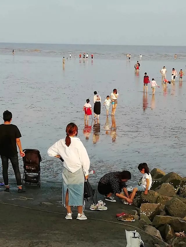 请问上海周边100公里左右自驾游有哪些景点推荐？