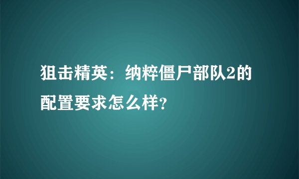 狙击精英：纳粹僵尸部队2的配置要求怎么样？