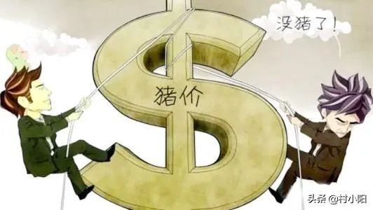 请问现在猪肉价格为啥居高不下，什么时候能降下来？