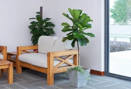 厕所门对着大门好吗 化解厕所门对着大门的八个小窍门