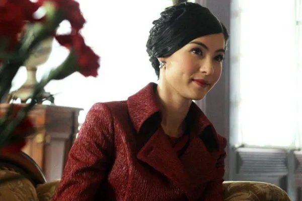 向华强太太陈岚，为何多次发文嘲讽张柏芝？