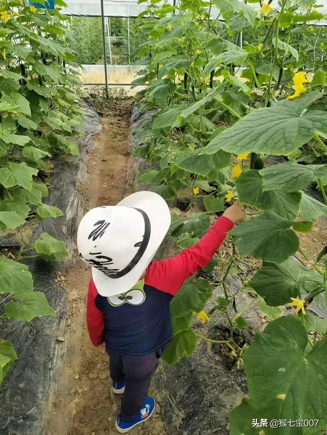 一日游去哪里好玩?