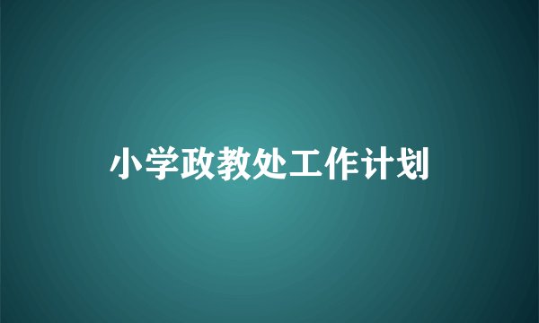 小学政教处工作计划