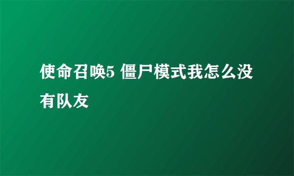 使命召唤5 僵尸模式我怎么没有队友