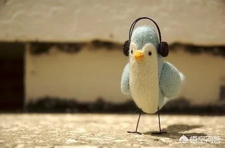 朋友，你好，请问你有没有一些节奏比较舒缓的英语歌？最好是能够练习英语听力的歌曲？