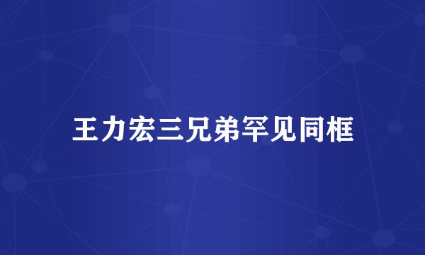 王力宏三兄弟罕见同框
