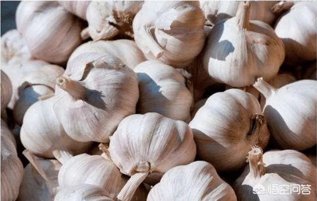 2018年的大蒜到底是会涨价还是会掉价？