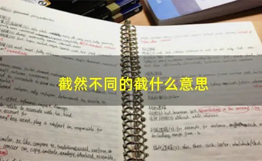 截然不同的截什么意思