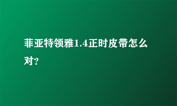 菲亚特领雅1.4正时皮带怎么对？