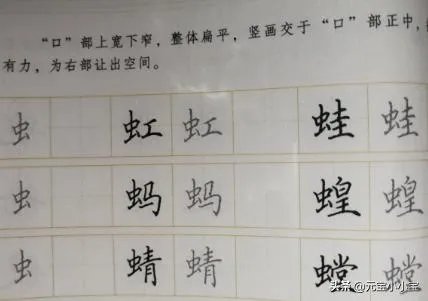 带虫字旁的动物名称？