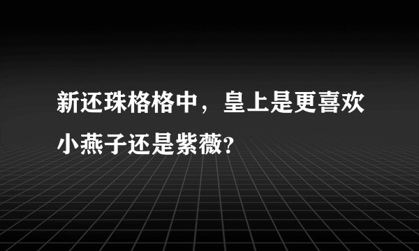 新还珠格格中，皇上是更喜欢小燕子还是紫薇？