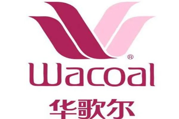 内衣十大一线品牌排行，Chantelle以蕾丝设计闻名全球