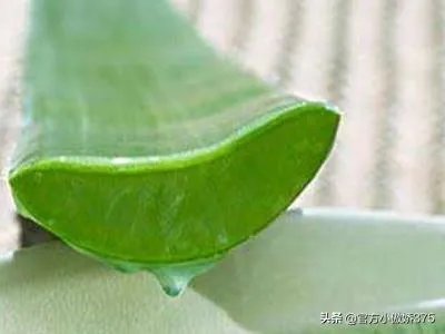 完美芦荟胶怎么用?
