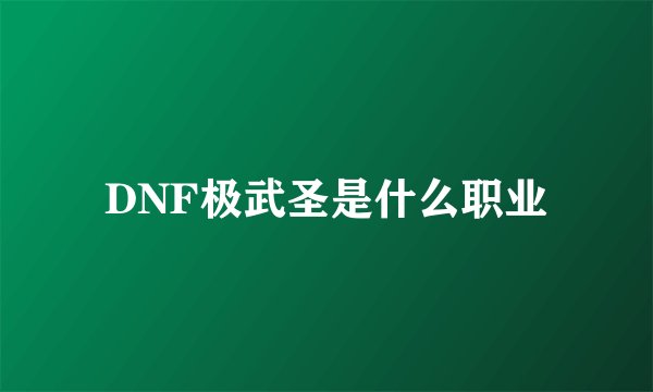 DNF极武圣是什么职业